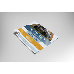 Sales Flyer